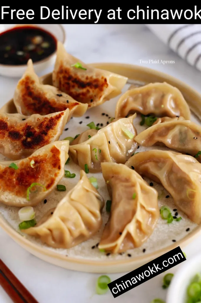Fried Dumplings | A Sensational Appetizer 1 Fried Dumplings